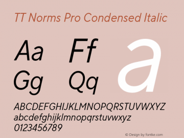 TT Norms Pro Condensed Italic Version 3.000.12072021图片样张