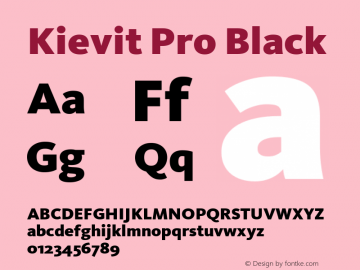 Kievit Pro Black Version 7.600, build 1030, FoPs, FL 5.04图片样张