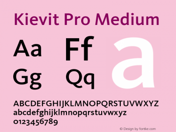 Kievit Pro Medium Version 7.600, build 1030, FoPs, FL 5.04图片样张