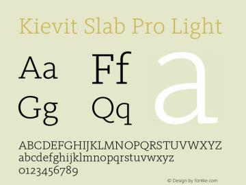 Kievit Slab Pro Light Version 7.700, build 1040, FoPs, FL 5.04图片样张