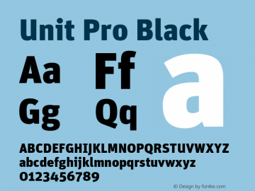 Unit Pro Black Version 7.600, build 1027, FoPs, FL 5.04图片样张