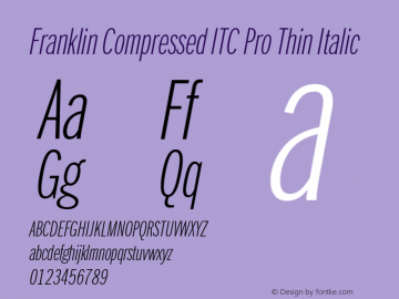 FranklinCompITCPro-ThinIta Version 1.01图片样张