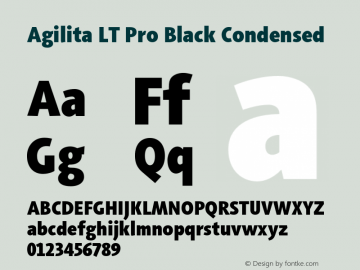 AgilitaLTPro-BlackCond Version 1.01图片样张