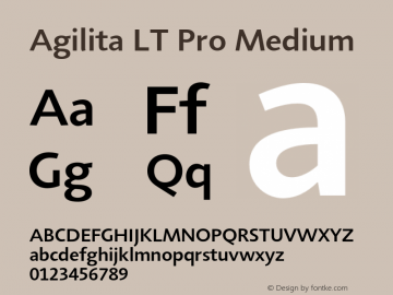 AgilitaLTPro-Medium Version 1.01图片样张