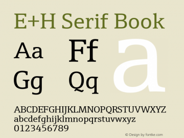 E+H Serif Version 3.00图片样张