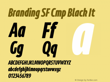 Branding SF Cmp Black It Version 1.000;hotconv 1.0.109;makeotfexe 2.5.65596图片样张