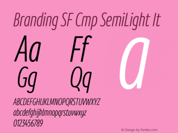 Branding SF Cmp SemiLight It Version 1.000;hotconv 1.0.109;makeotfexe 2.5.65596图片样张