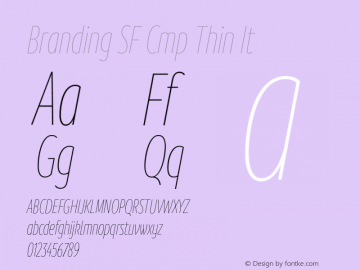 Branding SF Cmp Thin It Version 1.000;hotconv 1.0.109;makeotfexe 2.5.65596图片样张