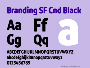 Branding SF Cnd Black Version 1.000;hotconv 1.0.109;makeotfexe 2.5.65596图片样张