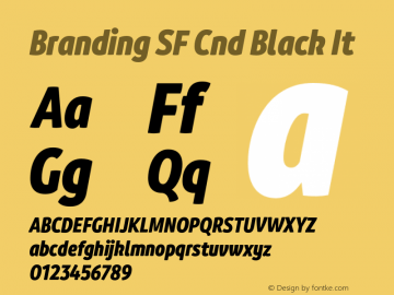 Branding SF Cnd Black It Version 1.000;hotconv 1.0.109;makeotfexe 2.5.65596图片样张