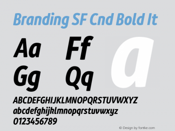 Branding SF Cnd Bold It Version 1.000;hotconv 1.0.109;makeotfexe 2.5.65596图片样张