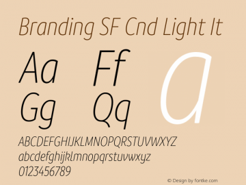 Branding SF Cnd Light It Version 1.000;hotconv 1.0.109;makeotfexe 2.5.65596图片样张