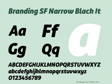 Branding SF Narrow Black It Version 1.000;hotconv 1.0.109;makeotfexe 2.5.65596图片样张