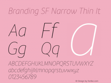 Branding SF Narrow Thin It Version 1.000;hotconv 1.0.109;makeotfexe 2.5.65596图片样张