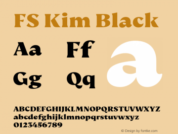 FS Kim Black Version 1.02;PS 001.001;hotconv 1.0.88;makeotf.lib2.5.64775图片样张
