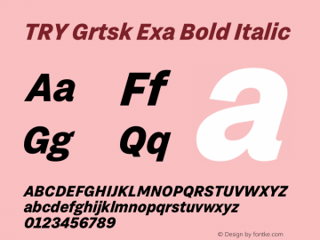 TRY Grtsk Exa Bold Italic Version 1.000图片样张