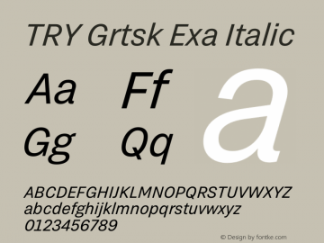 TRY Grtsk Exa Italic Version 1.000图片样张