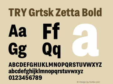TRY Grtsk Zetta Bold Version 1.000图片样张