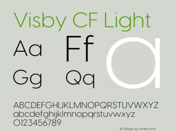 Visby CF Light Version 4.200;FEAKit 1.0图片样张