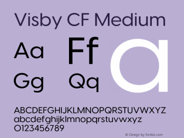 Visby CF Medium Version 4.200;FEAKit 1.0图片样张
