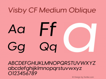 Visby CF Medium Oblique Version 4.200;FEAKit 1.0图片样张