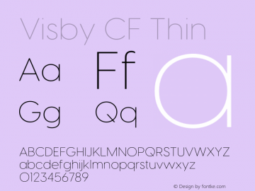 Visby CF Thin Version 4.200;FEAKit 1.0图片样张