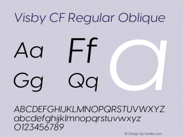 Visby CF Regular Oblique Version 4.200;FEAKit 1.0图片样张