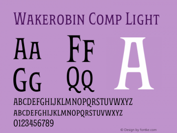 Wakerobin Comp Light Version 1.00图片样张