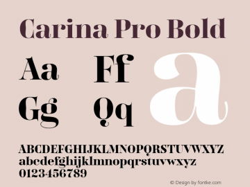 Carina Pro Bold Version 7.504; 2016; Build 1020图片样张