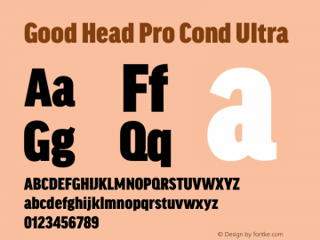 Good Head Pro Cond Ultra Version 7.60图片样张