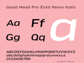 Good Head Pro Extd News It Version 7.60图片样张