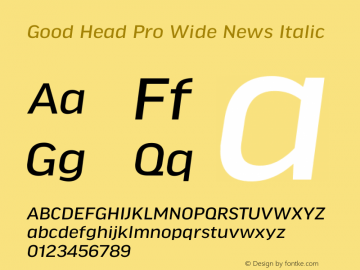 Good Head Pro Wide News Italic Version 7.60图片样张