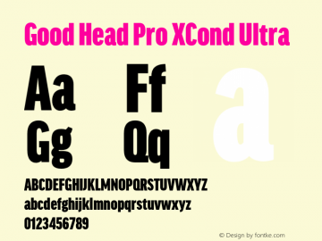 Good Head Pro XCond Ultra Version 7.60图片样张