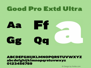 Good Pro Extd Ultra Version 7.60图片样张