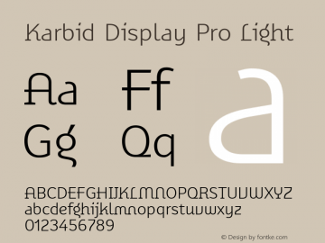 Karbid Display Pro Light Version 7.60图片样张