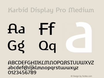 Karbid Display Pro Medium Version 7.60图片样张