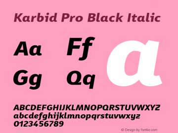 Karbid Pro Black Italic Version 7.60图片样张