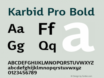 Karbid Pro Bold Version 7.60图片样张