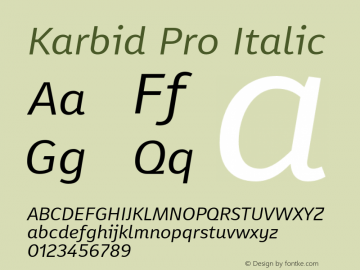 Karbid Pro Italic Version 7.60图片样张