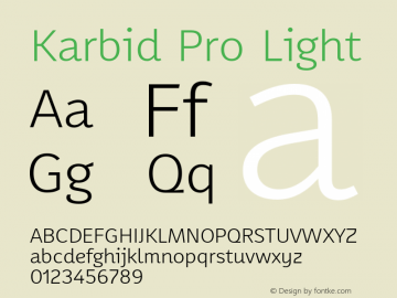 Karbid Pro Light Version 7.60图片样张