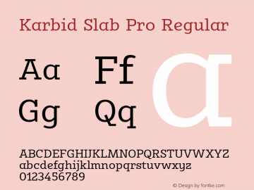 Karbid Slab Pro Version 7.60图片样张