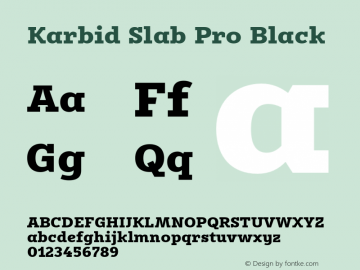 Karbid Slab Pro Black Version 7.60图片样张