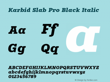 Karbid Slab Pro Black Italic Version 7.60图片样张