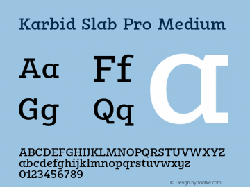 Karbid Slab Pro Medium Version 7.60图片样张