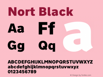 Nort Black Version 7.70图片样张