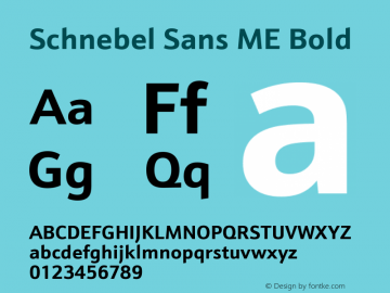 Schnebel Sans ME Bold Version 1.00图片样张