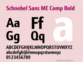 Schnebel Sans ME Comp Bold Version 1.00图片样张