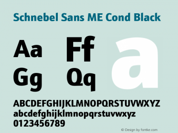 Schnebel Sans ME Cond Black Version 1.00图片样张