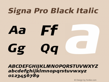 SignaPro-BlackIta Version 7.504; 2006; Build 1023图片样张