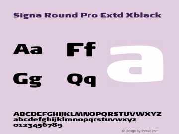 Signa Round Pro Extd Xblack Version 7.504; 2017; Build 1023图片样张